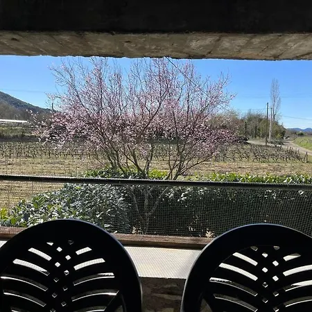 Au Bord De L'eau *